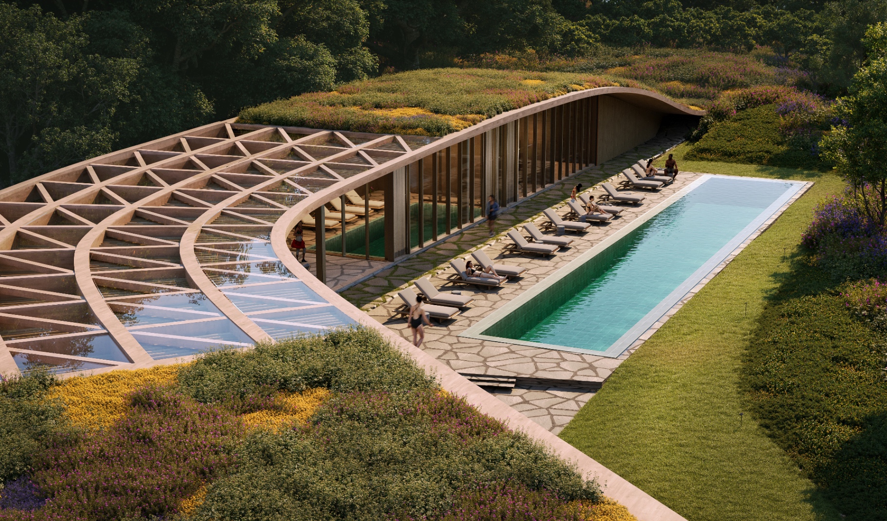Timber villa nestled among cork oak trees